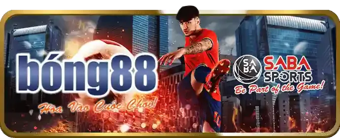 Đá gà bong789